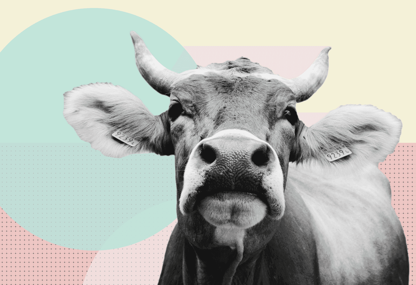 6 inspiring B2B campaigns you’ll wish you came up with yourself